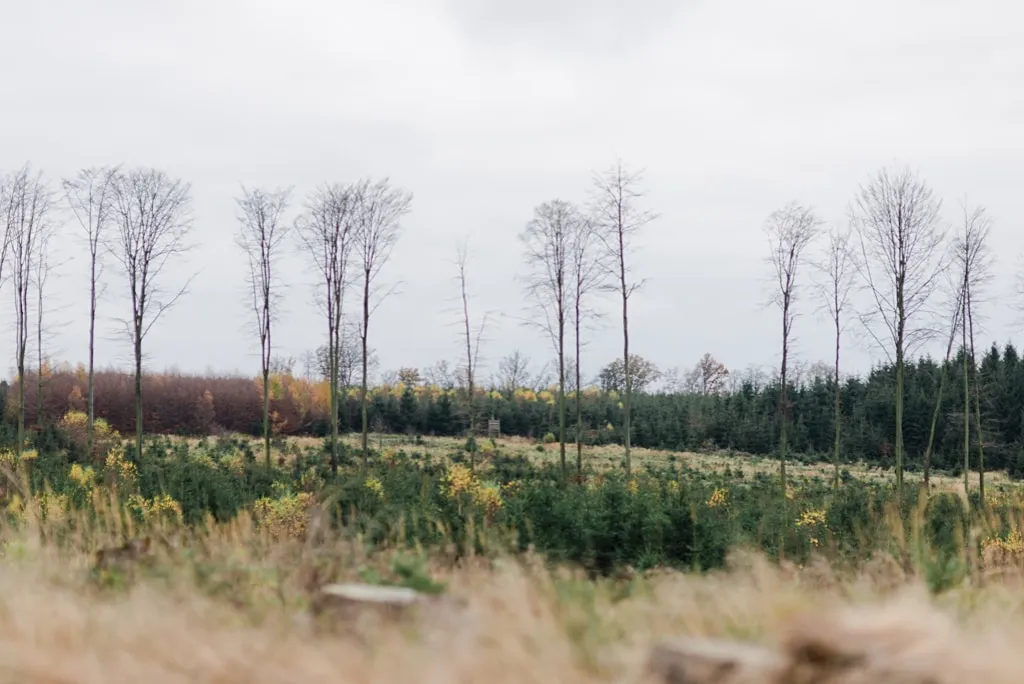 Hochzeitsfotograf Oberberg StefanieRoth 15 Hochzeitsfotograf_Oberberg_StefanieRoth_15