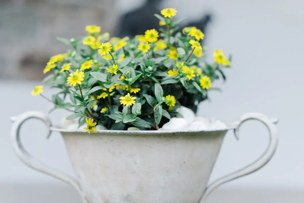 Hochzeitsfotograf Iserlohn Sauerland 04 hochzeitsfotograf_iserlohn_sauerland_04