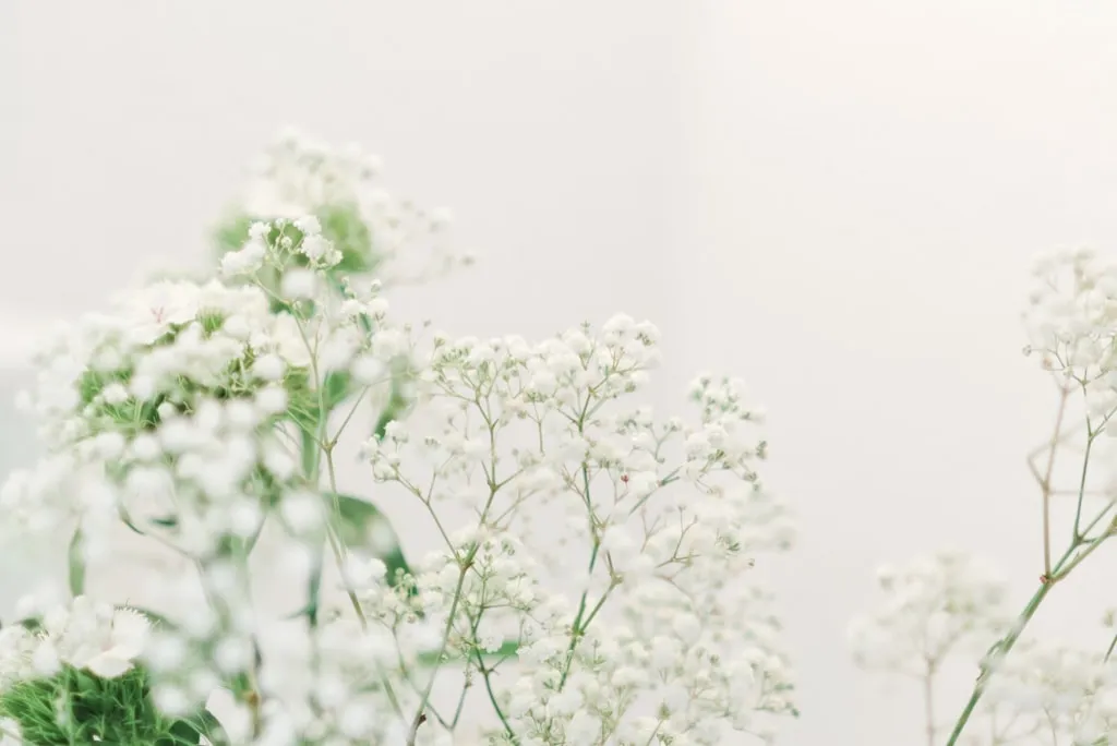 Hochzeitsfotograf Iserlohn Sauerland 12 hochzeitsfotograf_iserlohn_sauerland_12