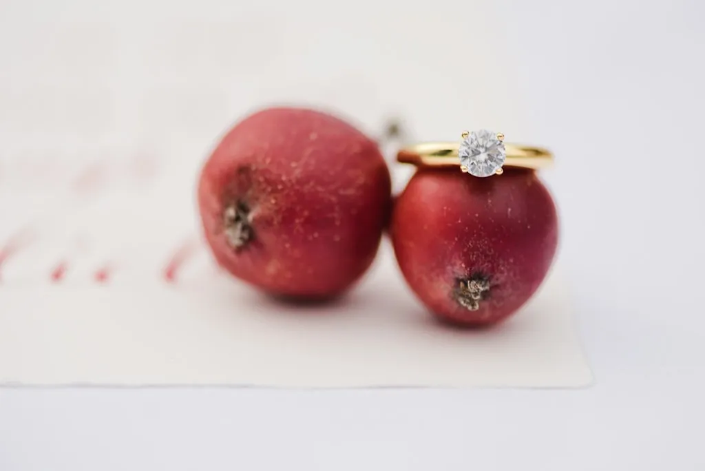 Hochzeitsfotograf Muenchen Bayern 11 Hochzeitsfotograf_Muenchen_Bayern_11