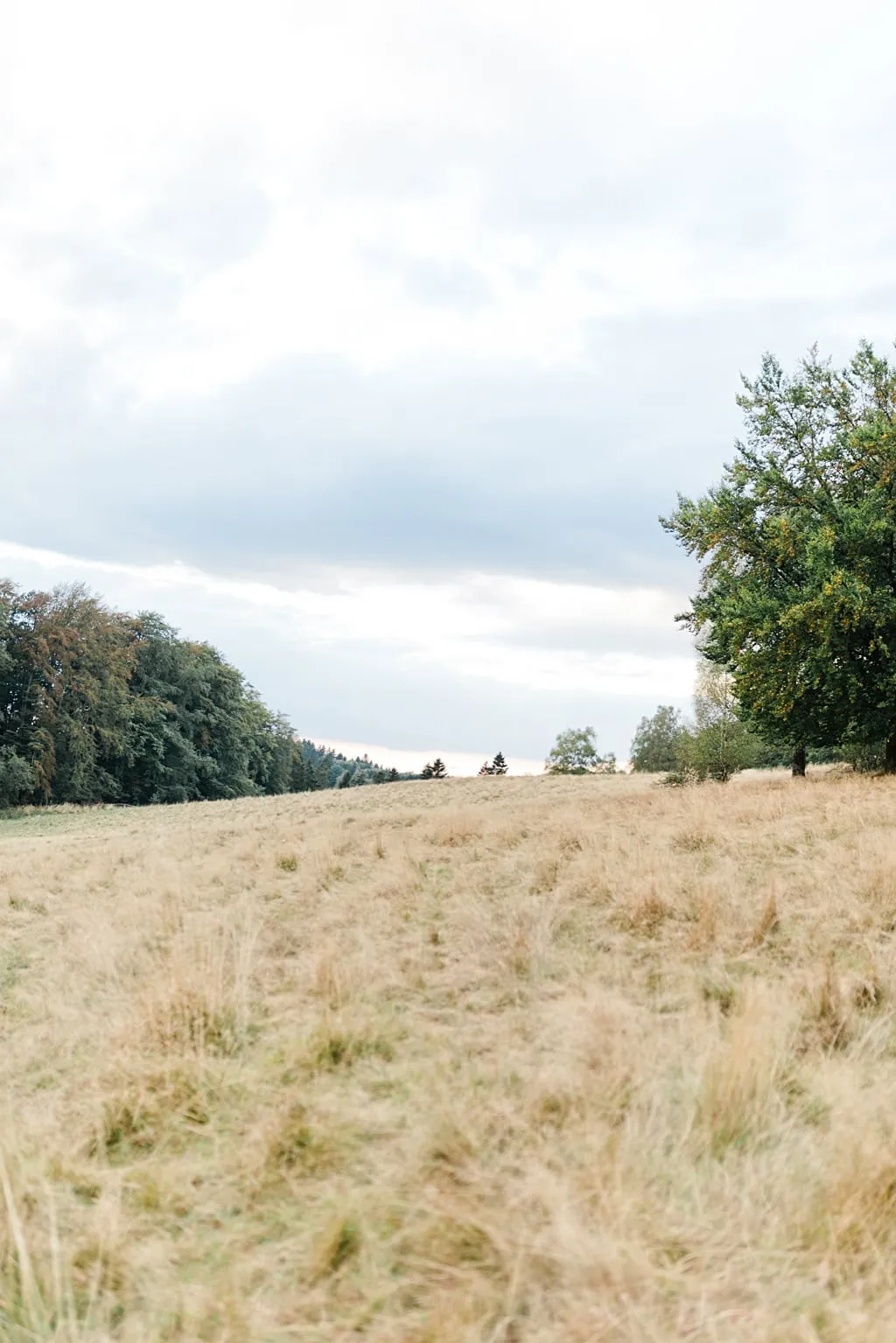 Hochzeitfotograf Luedenscheid Sauerland 19 hochzeitfotograf_luedenscheid_sauerland_19