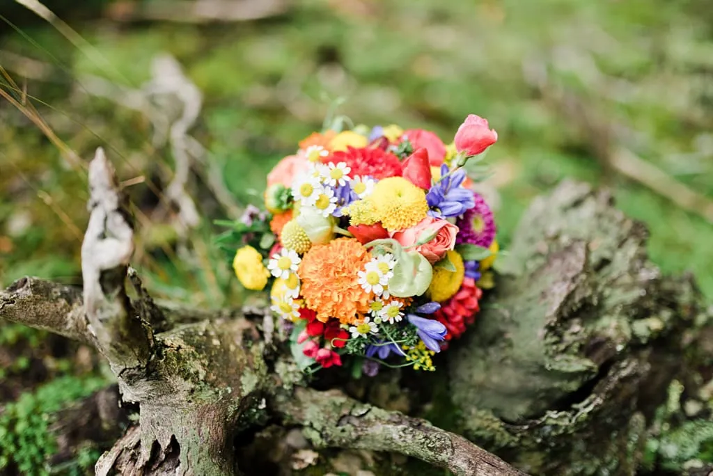 Hochzeitsfotograf Attendorn Mecklinghausen 44 hochzeitsfotograf-attendorn-mecklinghausen_44